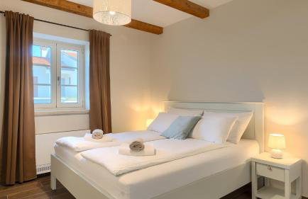 Beautiful villa Jurasi with outdoor pool in Tinjan - Foto 26