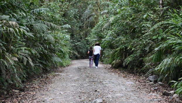 Senderismo por Otún Quimbaya