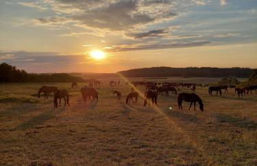 An den Sieben Seen - Foto 46