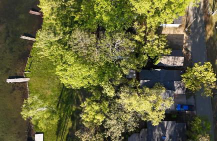 Seven Oaks at Bass Lake - Lakefront Getaway! - Foto 13