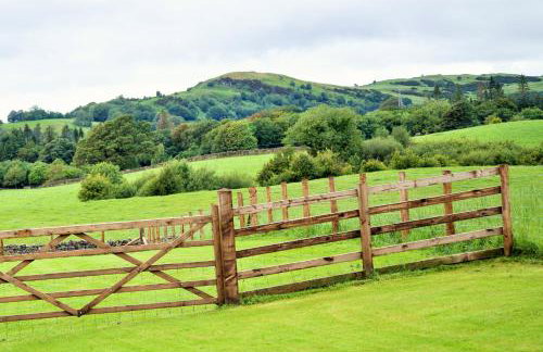 The Orchards - Foto 1