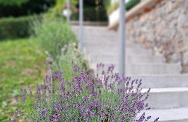 Villa Arboreta - Foto 22
