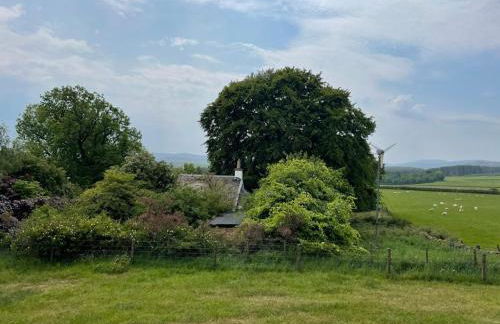 Gorgeous boutique off-grid cottage near Peebles - Foto 45