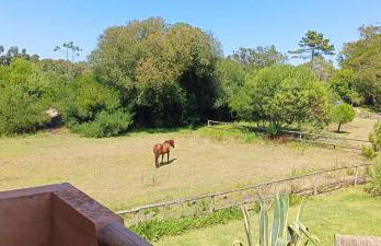 Casas da Barra - Foto 48