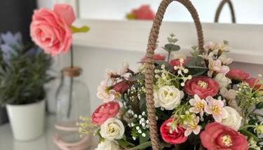 Maison des Larris - proche Aéroport - navette Gare - Foto 2