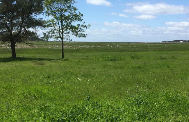 Pilegaarden - Foto 16