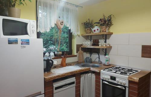 Bieszczadzki Dworek - Foto 24