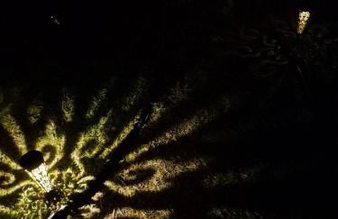 Pu'uwai Place of Volcano Village - Foto 3