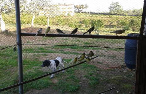 Casa Rural la Vallejera - Foto 91