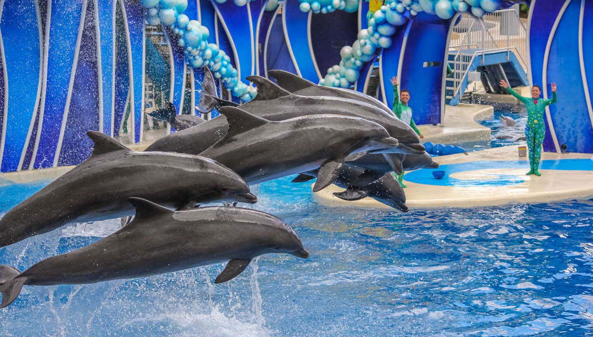 Madame Tussauds & SEA LIFE® Orlando Combo Ticket - Foto 2