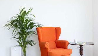 Las Ranas 1 - Foto 5