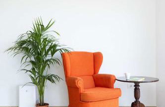 Las Ranas 1 - Foto 5