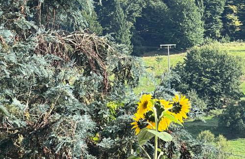 Haus Marta - Photo 65