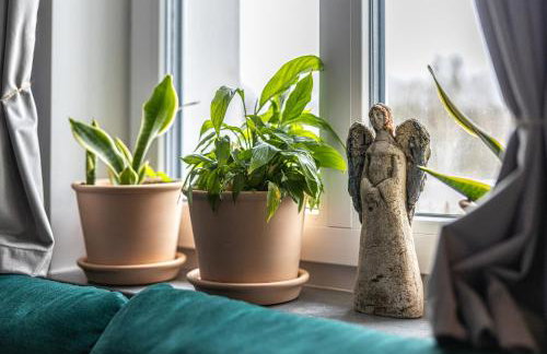 Zacisze Teremiski - Foto 11