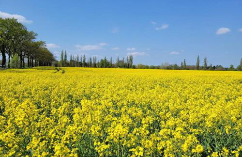 Dorfstübchen - Foto 18