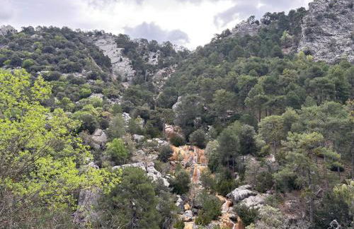 Apartamentos El Madroñal - Foto 54