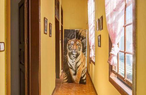 Casa Pollo Buen Lugar - Foto 24