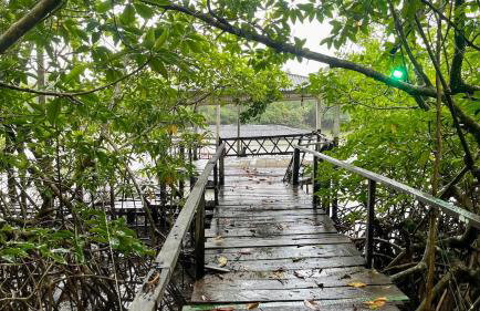 COP30 - Belém - Refúgio perfeito em Benfica-Pará - Photo 54