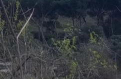 Páteo memória, casa do beco - Foto 24