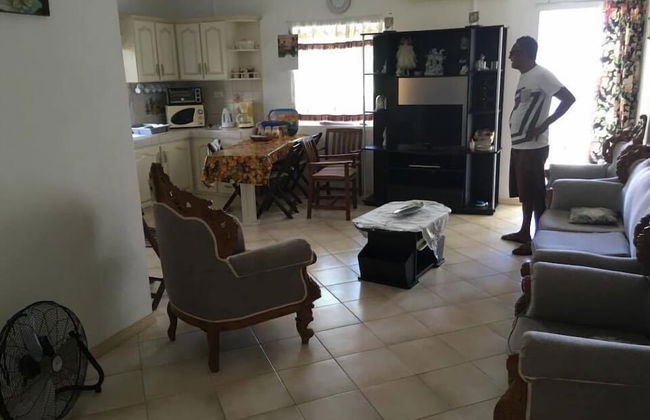 Faisan Dore - Photo 7