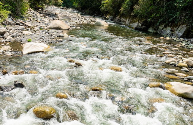 Casa de campo Los Yungas - Photo 45