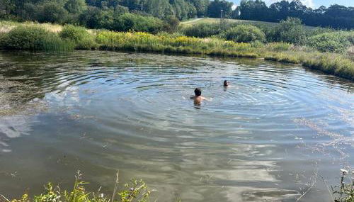 Lovely Farmhouse Cabin with Incredible Landscape Views in New York - Foto 5
