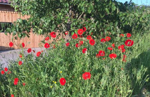 Zirbenholzwohnung Lochau - Foto 34