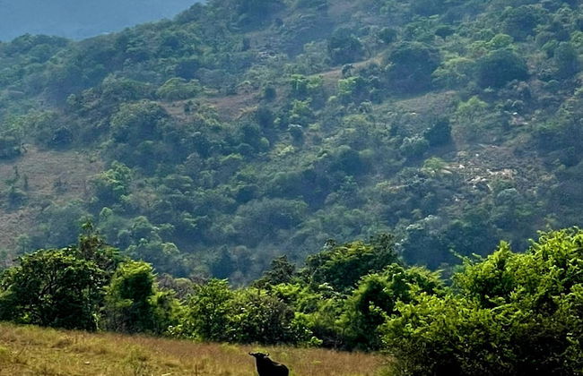 AtNature Luxury Self Catering Cottages - Photo 40