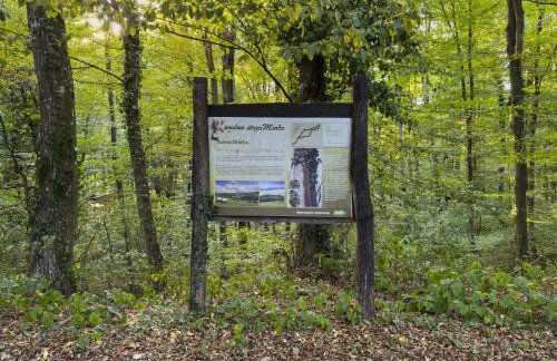 Luxury apartments Villa Wood NEW - Foto 75