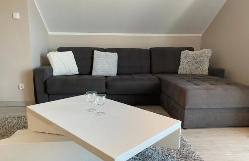 SleepWell Apartments Czarna Góra - Foto 6