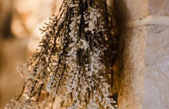 Μάραθος - Foto 10