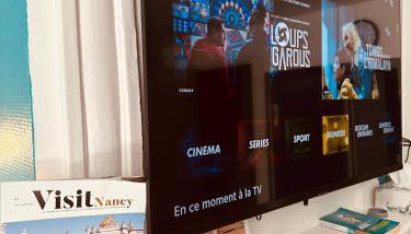 T1 TV 43' avec Netflix - canal série - apple TV - OCS - Disney - Dazen - bein sport - prime vidéo - Foto 2