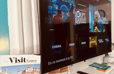 T1 TV 43' avec Netflix - canal série - apple TV - OCS - Disney - Dazen - bein sport - prime vidéo - Foto 16