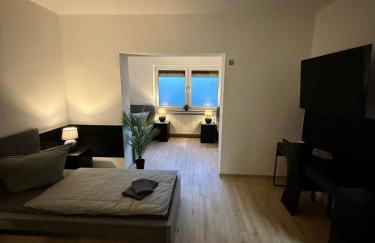 Frankfurter 21 Haus - 2 WE, 2 Küchen, 2 Bäder, 6 SZ, 19 Betten - Foto 45