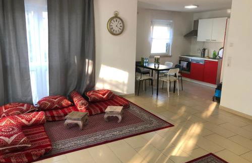 Sahara Falcon - Photo 52