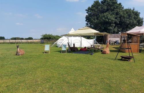 Glamping With Llamas - Foto 10