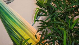 B&B Esotica - Foto 2