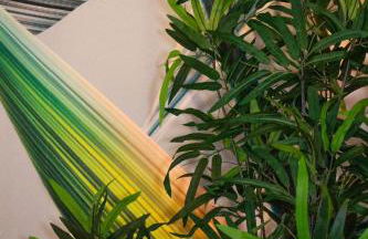 B&B Esotica - Foto 2