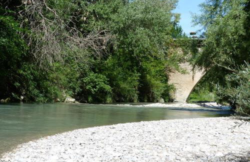 Gite nature les ANOURES en PROVENCE - Foto 15