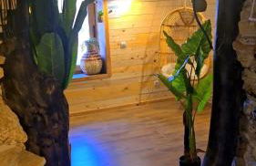 Grand gîte atypique - Foto 21