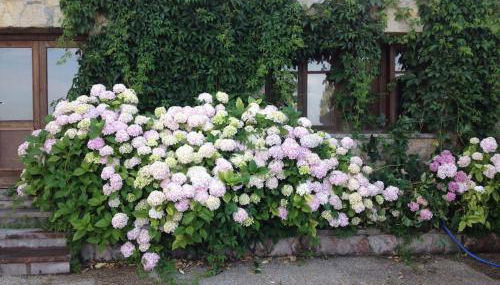 La Costana - San Cucao de Llanera - Foto 3