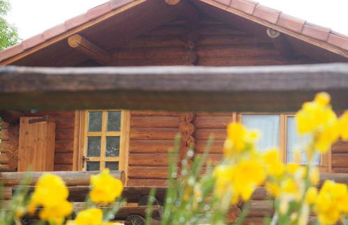 Mas Cal Sastre - Foto 80