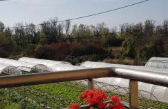 Apartman ARINA - Foto 34