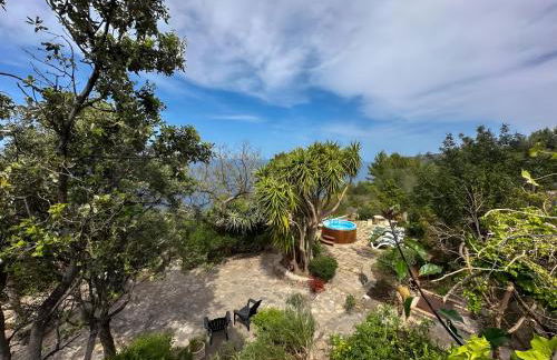 Vinya del mar - Foto 36