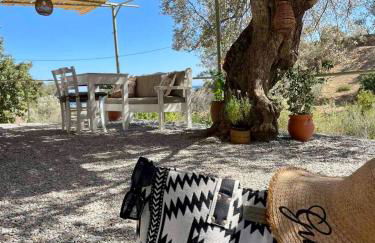 Metohi Luxury Home - Foto 18