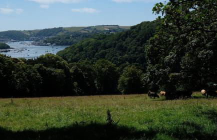 Quirky fisherman's cottage by the sea in Brixham - Photo 80