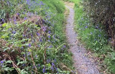 The Shepherds Hut - Foto 3