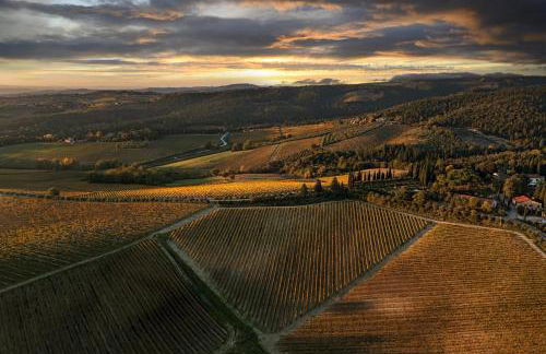 The Optimist's House - Foto 14