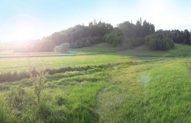 The Old Barn Luksusowa Stodoła z Całorocznym Jacuzzi Kominkiem i Widokiem na Wzgórza i Las dla 8-10 osób na Dolnym Śląsku min 2 noce - Foto 76