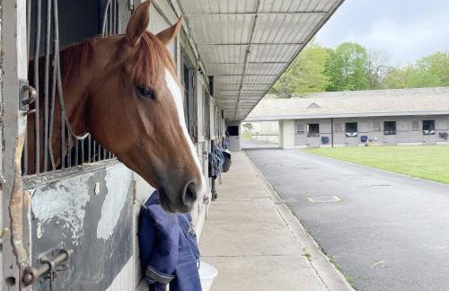 Paddock Prestige by La Boîte En Plus - Foto 11